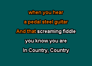 when you hear
a pedal steel guitar
And that screaming fiddle

you know you are

In Country, Country