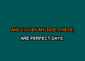 AND YOU BY MY SIDE. THESE,

ARE PERFECT DAYS.