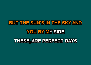 BUT THE SUN'S IN THE SKY AND
YOU BY MY SIDE

THESE. ARE PERFECT DAYS