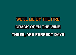 WE'LL LIE BY THE FIRE
CRACK OPEN THE WINE
THESE, ARE PERFECT DAYS