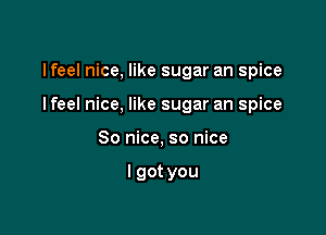 lfeel nice, like sugar an spice
lfeel nice, like sugar an spice

So nice, so nice

lgotyou