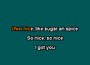 I feel nice, like sugar an spice

So nice, so nice

lgot you
