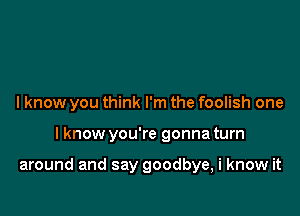 I know you think I'm the foolish one

I know you're gonna turn

around and say goodbye, i know it