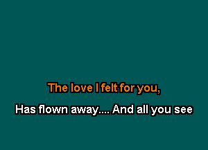 The love I felt for you,

Has flown away.... And all you see