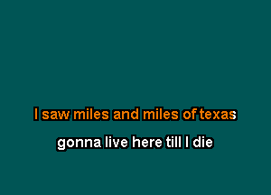 I saw miles and miles oftexas

gonna live here till I die