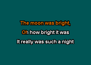 The moon was bright,

Oh how bright it was

It really was such a night