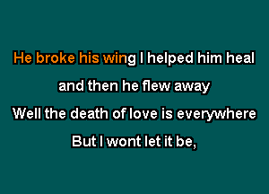 He broke his wing I helped him heal

and then he f1ew away

Well the death oflove is everywhere
But I wont let it be,