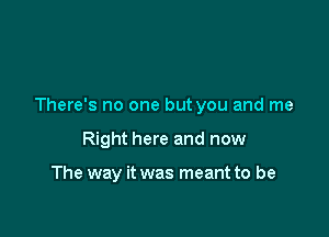 There's no one but you and me

Right here and now

The way it was meant to be