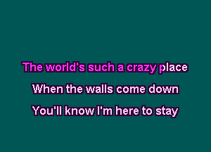 The world's such a crazy place

When the walls come down

You'll know I'm here to stay