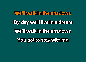 We'll walk in the shadows
By day we'll live in a dream

We'll walk in the shadows

You got to stay with me