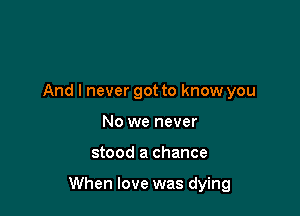 And I never got to know you
No we never

stood a chance

When love was dying