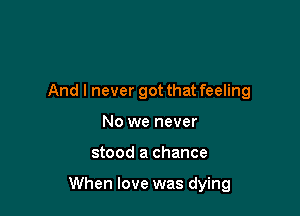 And I never got that feeling
No we never

stood a chance

When love was dying