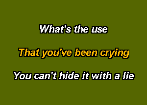 What's the use

That you've been crying

You can '1 hide it with a lie