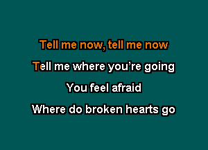 Tell me now, tell me now
Tell me where yowre going

You feel afraid

Where do broken hearts go