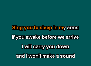 Sing you to sleep in my arms

If you awake before we arrive
I will carry you down

and I won't make a sound