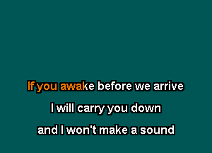 If you awake before we arrive

lwill carry you down

and I won't make a sound