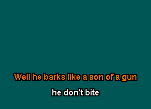 Well he barks like a son of a gun
he don't bite