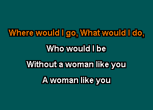 Where would I go, What would I do,
Who would I be

Without a woman like you

A woman like you