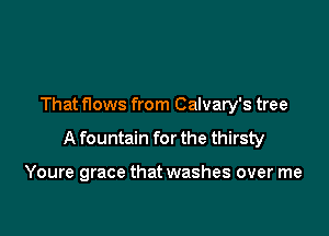 That flows from Calvary's tree

A fountain for the thirsty

Youre grace that washes over me