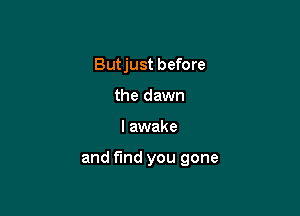 Butjust before
the dawn

I awake

and fund you gone