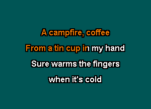 A campfire, coffee

From a tin cup in my hand

Sure warms the fingers

when it's cold