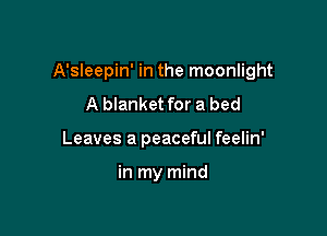 A'sleepin' in the moonlight

A blanket for a bed
Leaves a peaceful feelin'

in my mind
