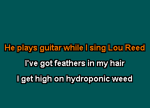 He plays guitar while I sing Lou Reed

I've got feathers in my hair

I get high on hydroponic weed