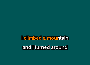 I climbed a mountain

and lturned around