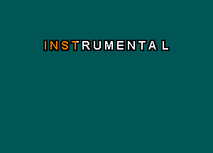 INSTRUMENTA L