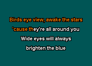 Birds eye view, awake the stars

'cause they're all around you
Wide eyes will always
brighten the blue