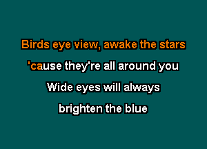 Birds eye view, awake the stars

'cause they're all around you
Wide eyes will always
brighten the blue