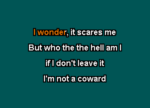 lwonder, it scares me

But who the the hell aml
ifl don't leave it

I'm not a coward