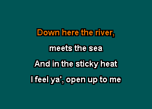 Down here the river,
meets the sea

And in the sticky heat

lfeel ya', open up to me