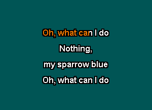 Oh, what can I do
Nothing,

my sparrow blue
Oh, what can I do