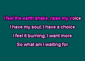 lfeel the earth shake, raise my voice
I have my soul, I have a choice
I feel it burning, I want more

So what am I waiting for