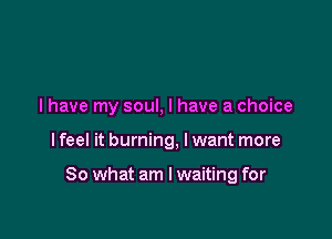 I have my soul, I have a choice

I feel it burning, I want more

So what am I waiting for