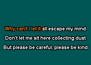 Why can't I let it all escape my mind
Don't let me sit here collecting dust

But please be careful, please be kind