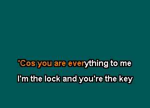 'Cos you are everything to me

I'm the lock and you're the key