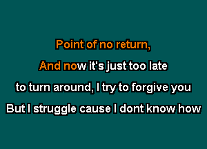 Point of no return,

And now it'sjust too late

to turn around, I try to forgive you

But I struggle cause I dont know how