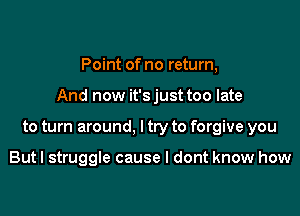 Point of no return,

And now it'sjust too late

to turn around, I try to forgive you

But I struggle cause I dont know how