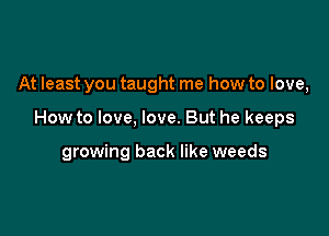 At least you taught me how to love,

How to love, love. But he keeps

growing back like weeds