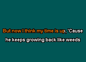 But now I think my time is up, 'Cause

he keeps growing back like weeds