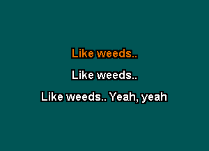 Like weeds..

Like weeds..

Like weeds.. Yeah, yeah