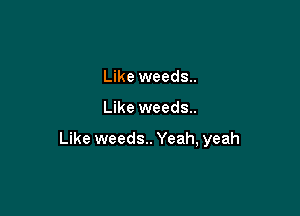 Like weeds..

Like weeds..

Like weeds.. Yeah, yeah