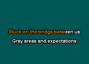 Stuck on the bridge between us

Gray areas and expectations
