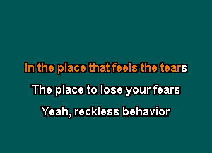 In the place that feels the tears

The place to lose your fears

Yeah, reckless behavior