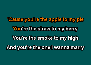 'Cause you're the apple to my pie
You're the straw to my berry

You're the smoke to my high

And you're the one lwanna marry