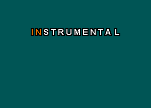 INSTRUMENTA L