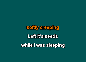 softly creeping

Left it's seeds

while I was sleeping