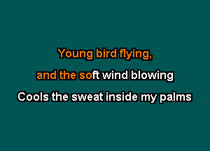 Young bird flying,

and the soft wind blowing

Cools the sweat inside my palms